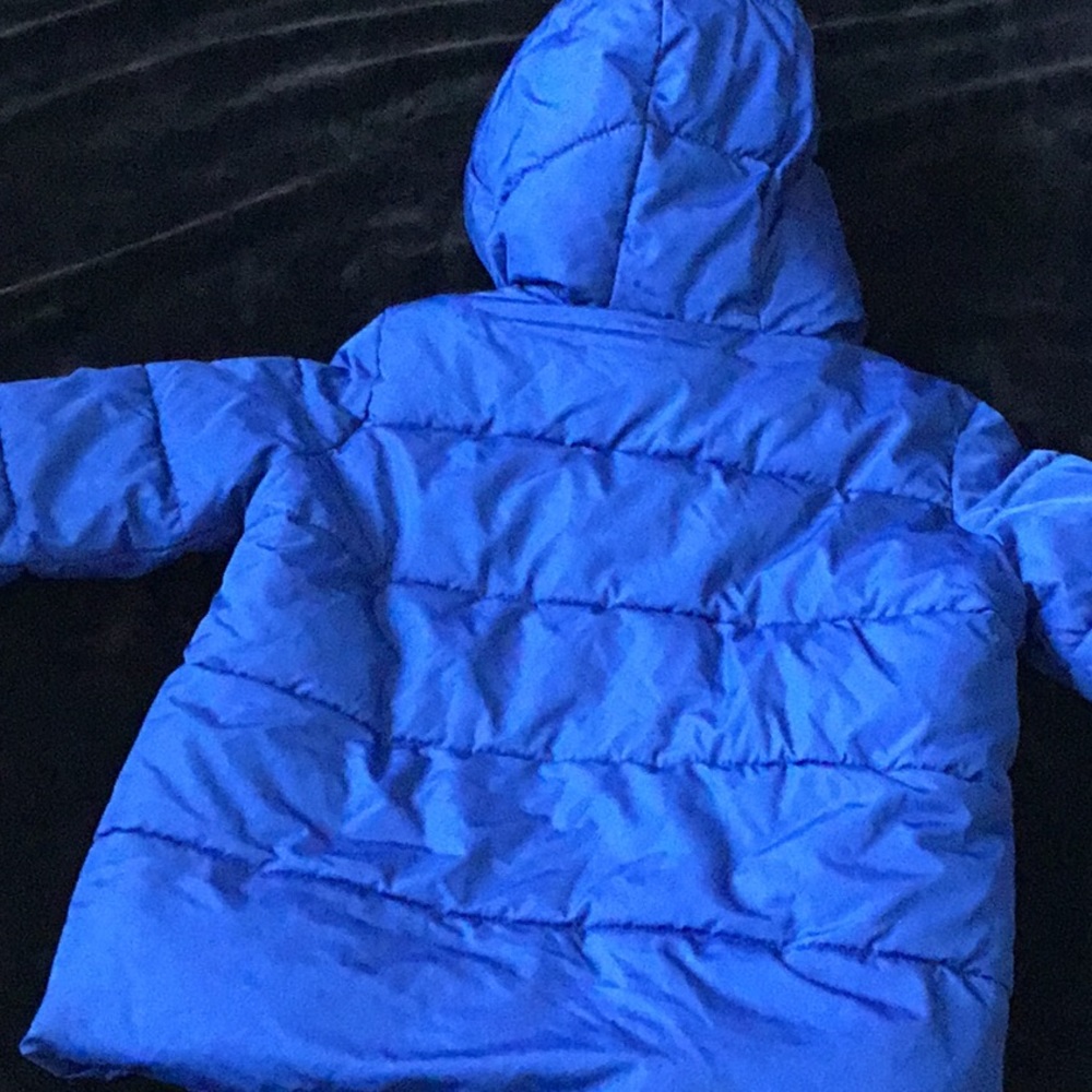 Bright blue puffer jacket - Picture 4 of 6